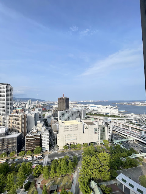 アーバンライフ神戸三宮ザ・タワーの展望