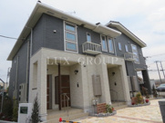 マリーゴールドの画像