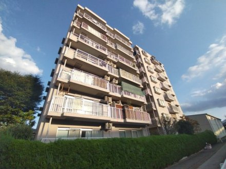 藤和シティコープ三郷の外観|物件の外観です