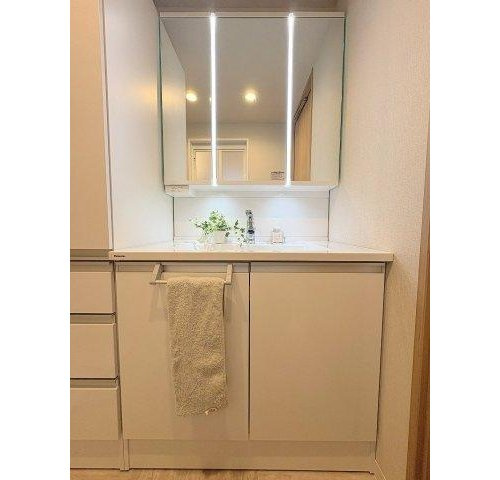 藤和シティコープ三郷の独立洗面台|独立洗面台、小物を置くことができて便利です