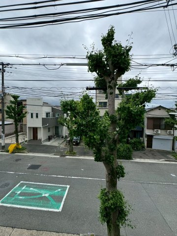 アベニールⅠの展望