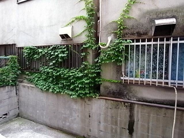 アルカディアマーユの展望