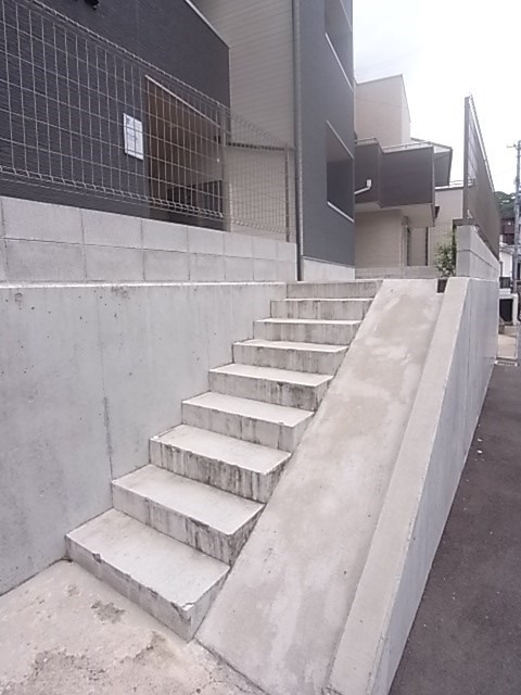 アリッサムの外観