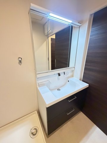 LaLaBrezza芦屋翠ケ丘の洗面所