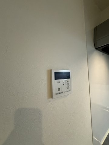 アリッサムのその他