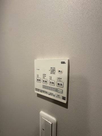 アリッサムのその他