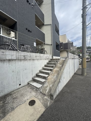アリッサムの外観
