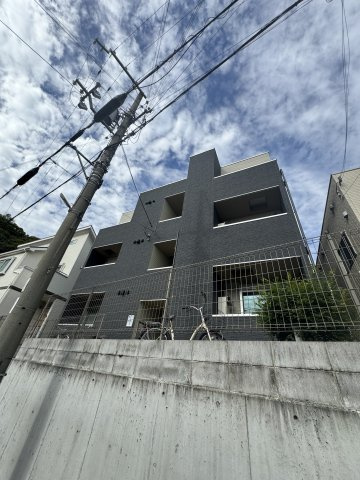 アリッサムの外観