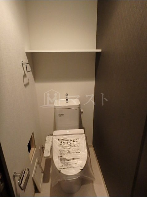 大阪市中央区和泉町１丁目の賃貸マンションのトイレ