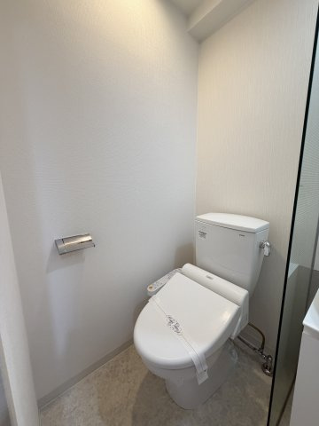 S-RESIDENCE難波Brillerのトイレ