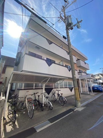 エヴァ95