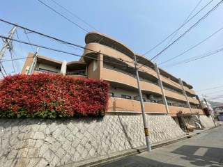 エヴァグリーン岡本