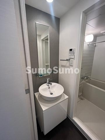 S-RESIDENCE難波Brillerの洗面所