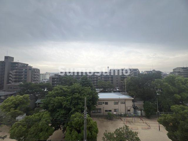 アルファコートの展望