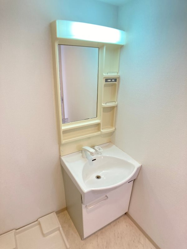 大阪市西区川口１丁目の賃貸マンションの独立洗面台