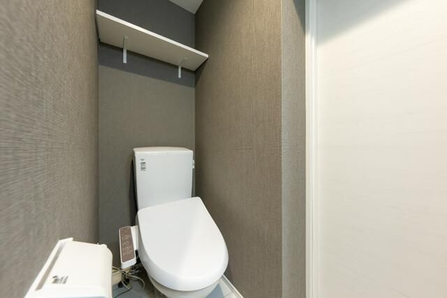 ザ・クラスアーバンス水道橋本郷のトイレ