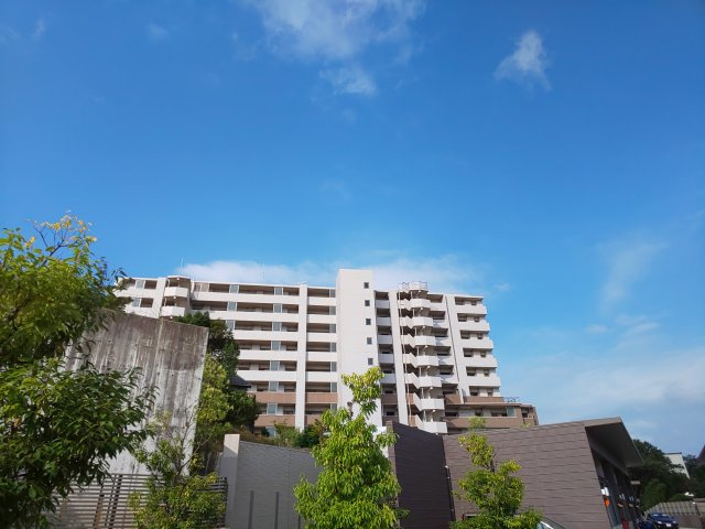 フェリカーサ明大寺