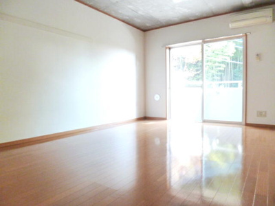 広々使いやすい11.4帖の洋室