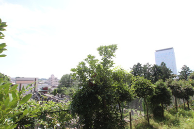 バルコニーからの景色です。