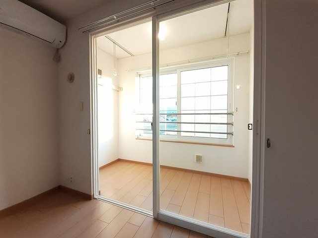 プラシードＣのその他