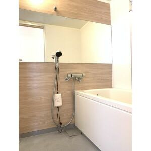 ピアチェーレ江南の浴室