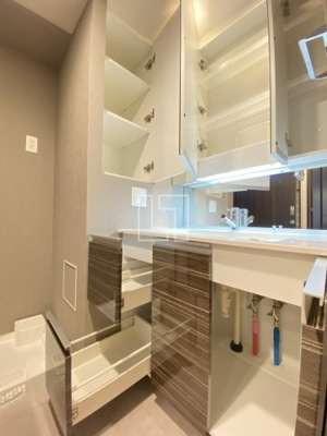 【独立洗面台】 | シティタワー大阪本町 | シティタワー大阪本町　洗面所