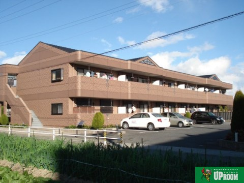 セイントクルーズⅡ