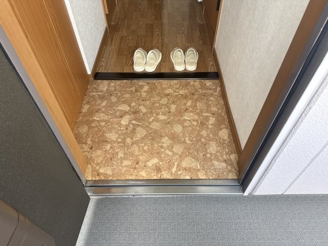 ラフィーヌ上野田Ⅱの玄関