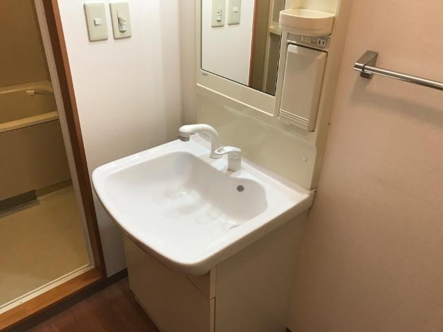 ロイヤルグリーンヒルズの洗面所|洗面