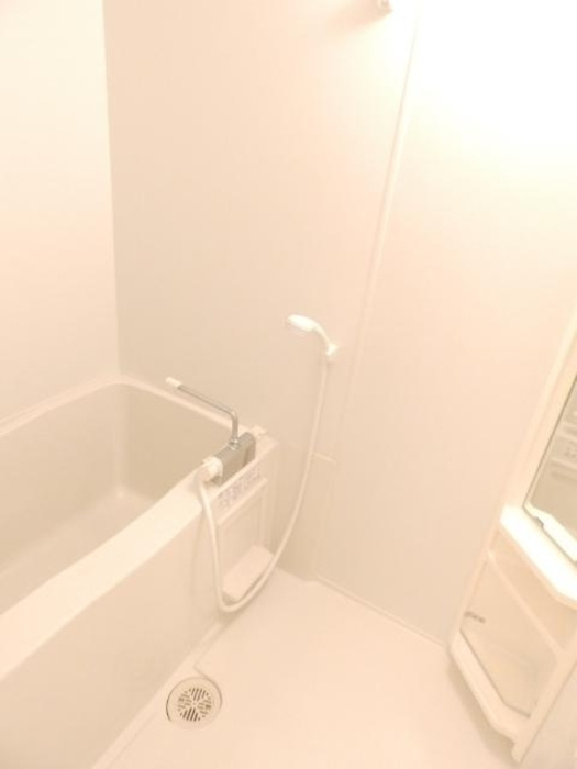 エミネンス上野中の浴室