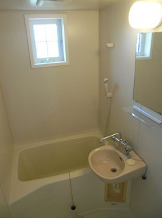 アンズ・アベニューの浴室