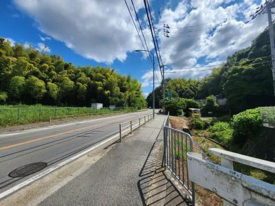 ヴィーヴル藤の森の周辺|前面道路