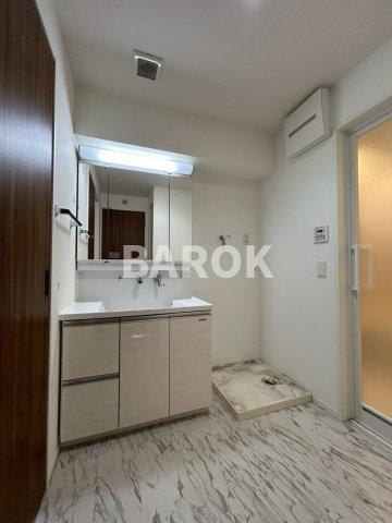 ラフィーネグラン室見の洗面所