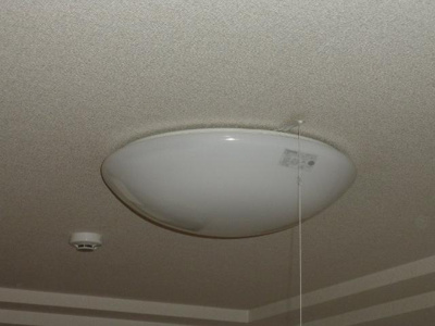 【内装】 | ラフィーヌ上野田Ⅱ | 洋室照明