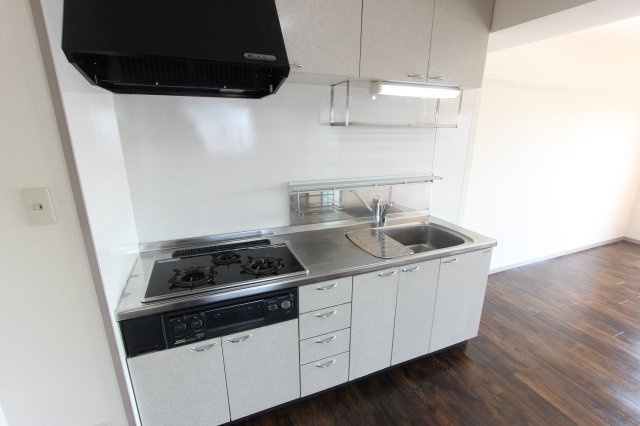 名古屋市南区南野２丁目の賃貸マンションのキッチン