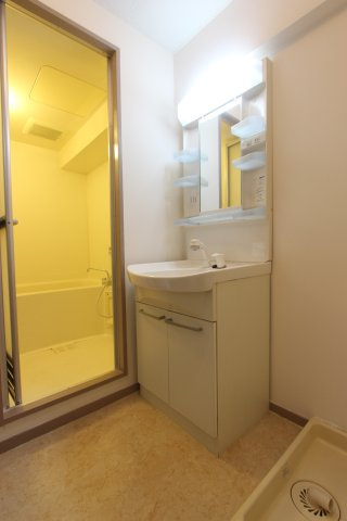 メゾン・ラ・ディアスの洗面所