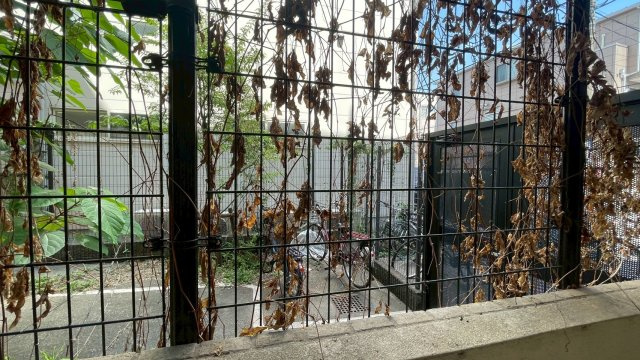 プレール学芸大学参番館の展望