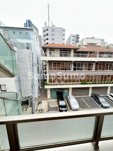 フラッツ大橋の展望