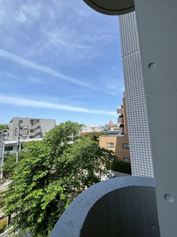 ホワイトフロントの展望