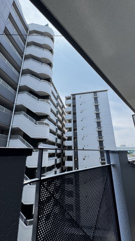 ペガサス千代 の展望