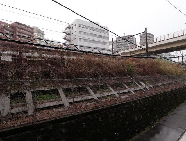 ムジーク北参道の展望