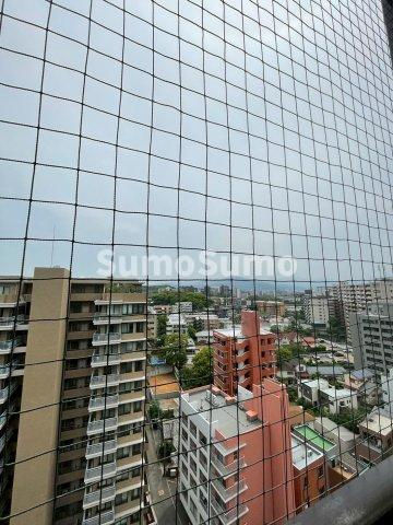 メルクリオけやき通りの展望