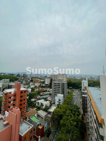 メルクリオけやき通りの展望