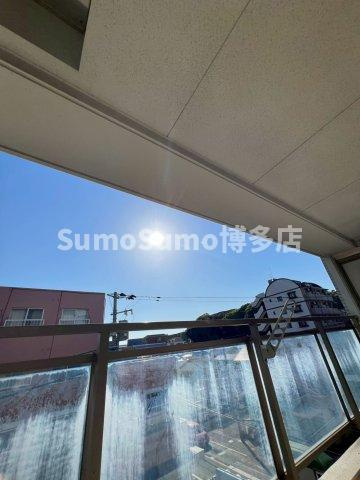 ラミナスコートの展望