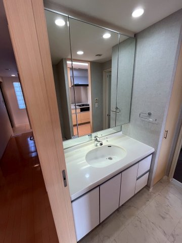 グリーンラグーナ甲子園A棟の洗面所