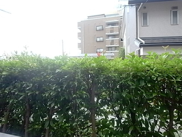 クリスタルカーサⅡの展望