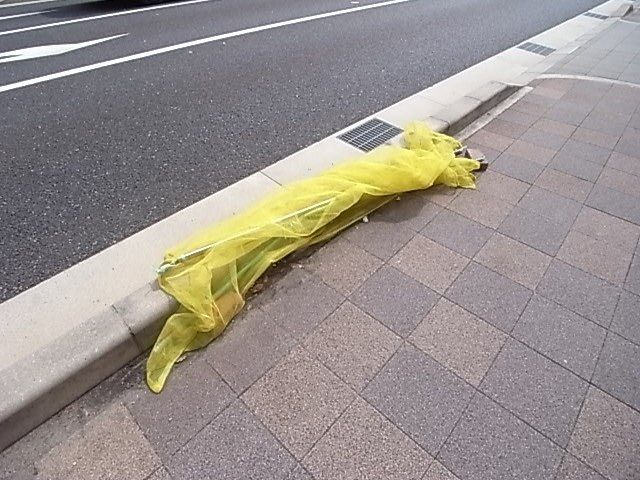 クリスタルカーサⅡの外観