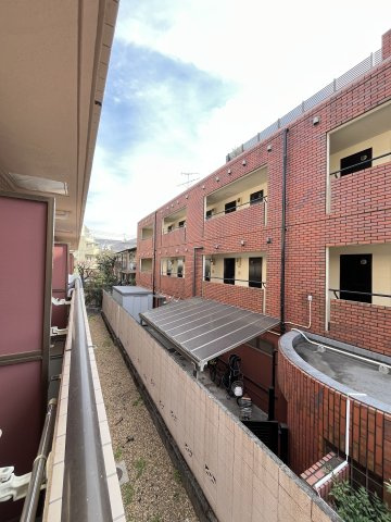 リフィオ都立大学の展望