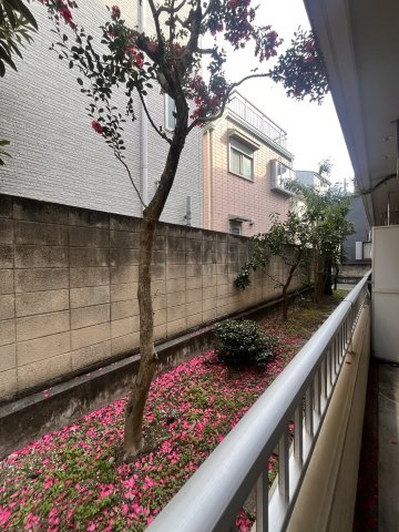 リフィオ三軒茶屋の展望