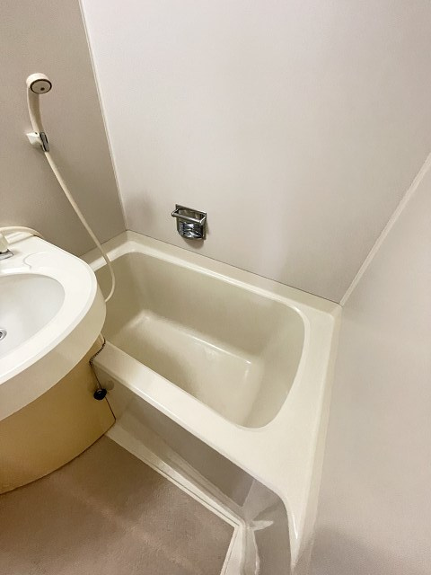 ステラハウス15の浴室